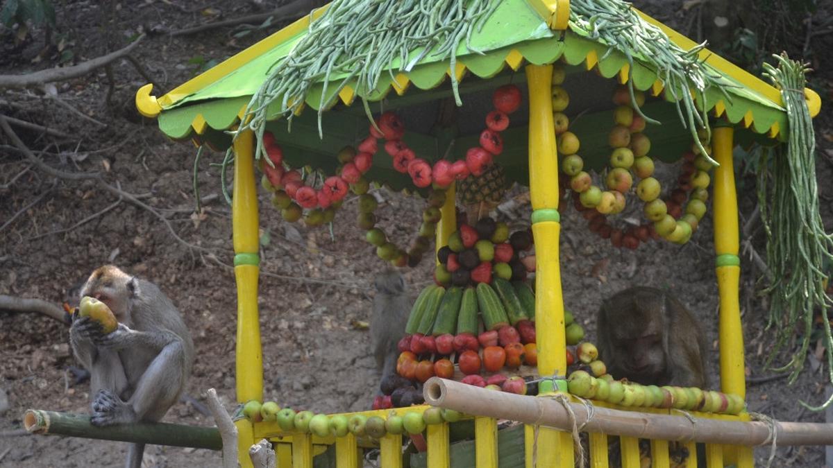 Pagi Cerah di Cikakak: Jelajahi Keajaiban Desa Wisata Tanpa Antrean